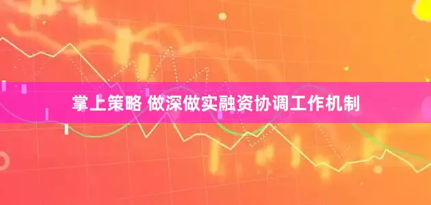 掌上策略 做深做实融资协调工作机制