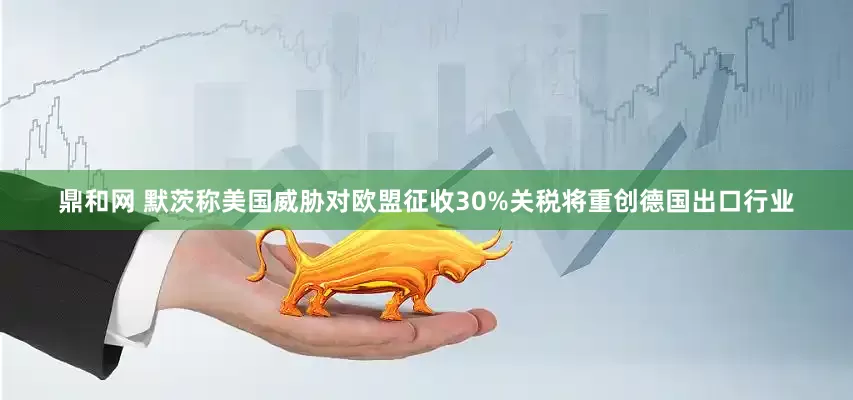 鼎和网 默茨称美国威胁对欧盟征收30%关税将重创德国出口行业