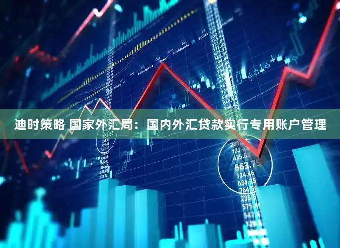迪时策略 国家外汇局：国内外汇贷款实行专用账户管理